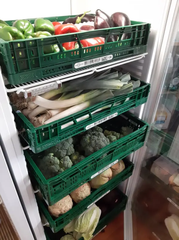 Kühlschränke mit Brokkoli